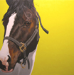 John DeFrance Paintings