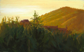 Golden Light