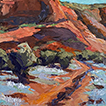 Coyote Trail