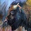 Penny Winn Paintings