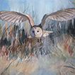 Owl in Flight