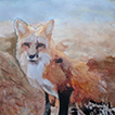 Fox Portrait