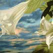 Trumpets At Dusk 1